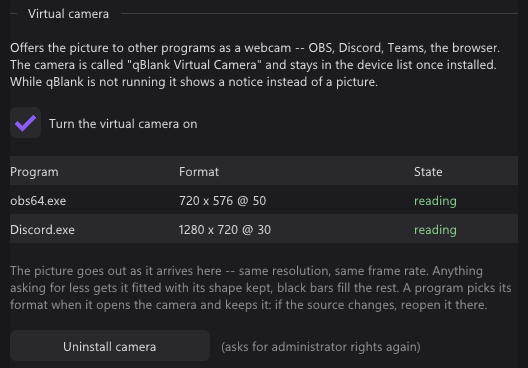 The Virtual camera section: switched on, with OBS and Discord reading, each in its own format